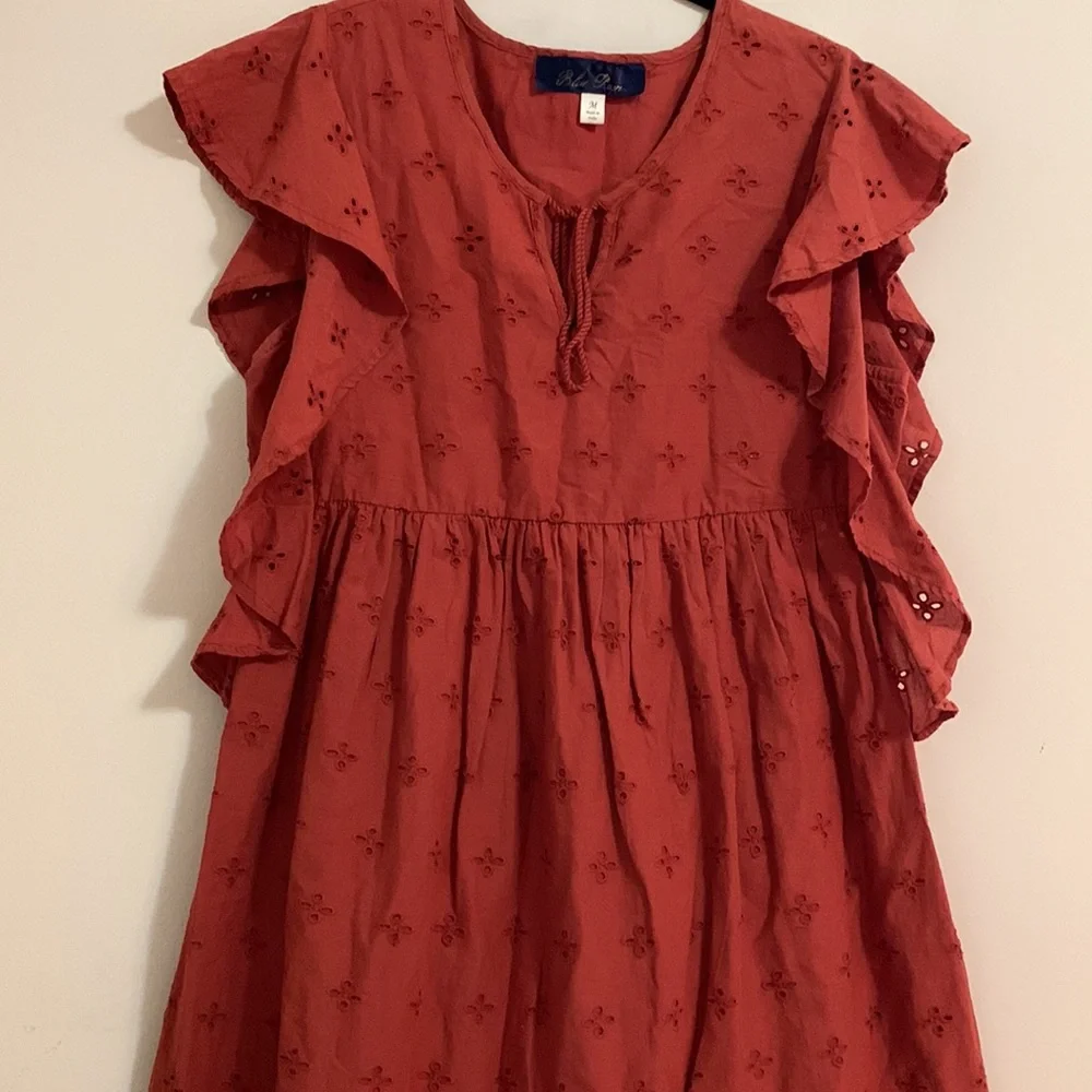 Francesca’s Blue Rain dress - Picture 6 of 8
